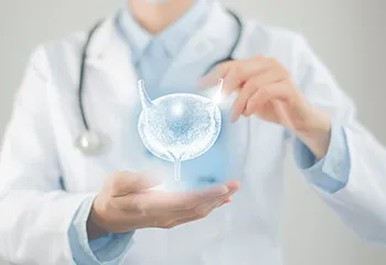 Urinary Bladder